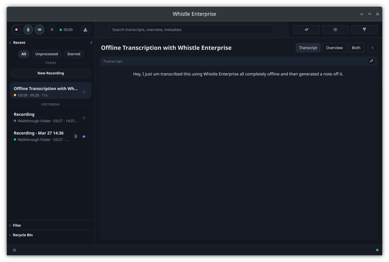 Whistle Enterprise desktop app showing an offline meeting transcription with recording controls and transcript view